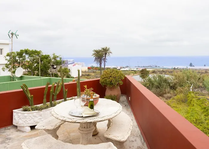 Live La Punta Del Hidalgo Center *