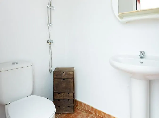 Live La Punta Del Hidalgo Center