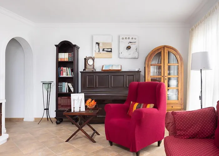 Live La Punta Del Hidalgo Center