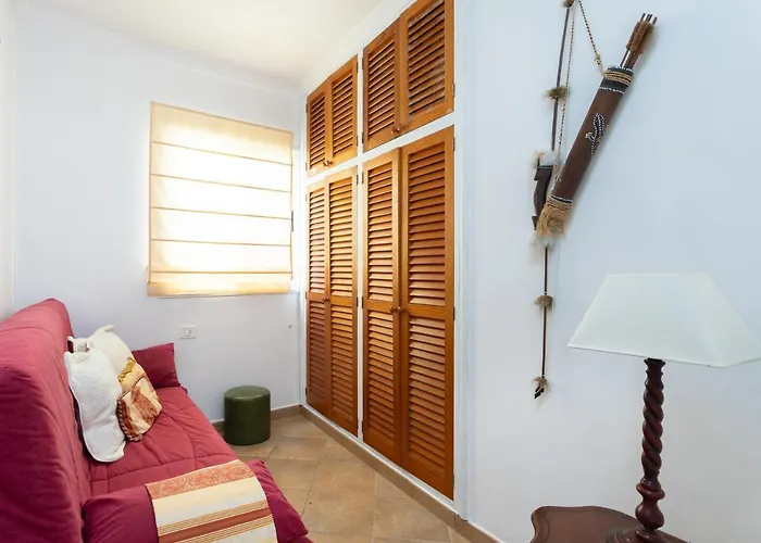 Live La Punta Del Hidalgo Center