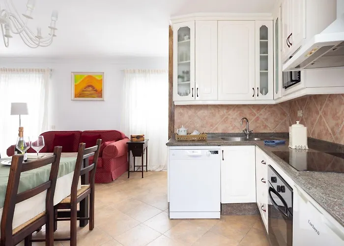 Live La Punta Del Hidalgo Center