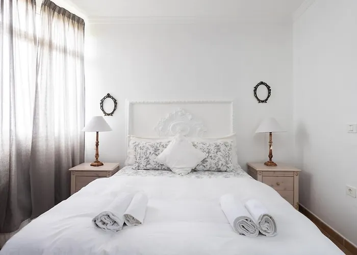 Live La Punta Del Hidalgo Center